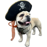 Bosco Bosco